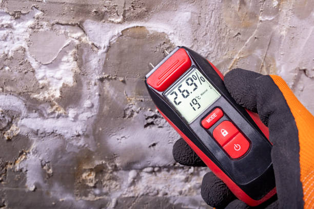 Best Local Mold Removal Service  in Niagara, WI
