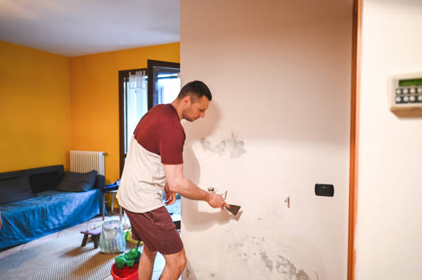Best Attic Mold Removal  in Niagara, WI