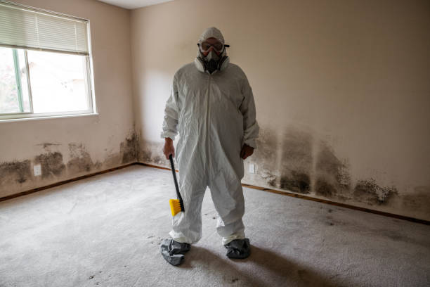Best Emergency Mold Removal  in Niagara, WI